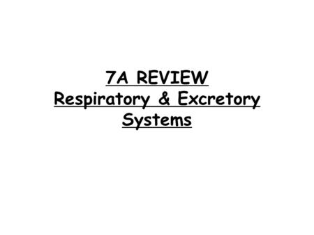7A REVIEW Respiratory & Excretory Systems