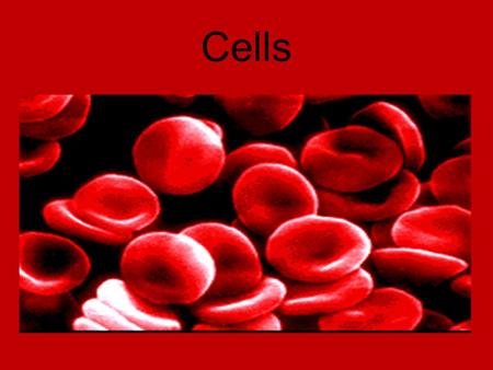Cells. Some Random Cell Facts The average human being is composed of around 100 Trillion individual cells!!! It would take as many as.