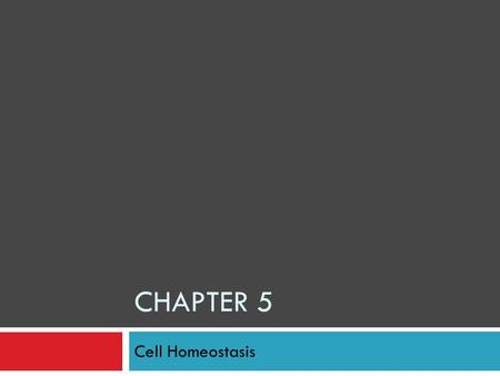 CHAPTER 5 Cell Homeostasis. Section 1: Passive Transport  Cell membranes: controls what enters and leaves the cell  Sometimes it takes energy to do.