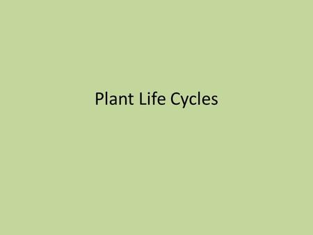 Plant Life Cycles. Alternation of generation – the process of alternating between asexual and sexual reproduction Seedless plants begin by releasing spores.