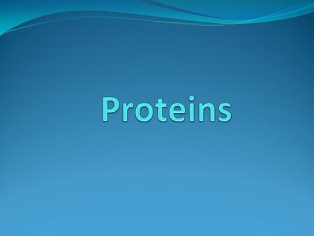 Aim: What are the building blocks of proteins? Building Blocks: Amino Acids = Central Carbon.