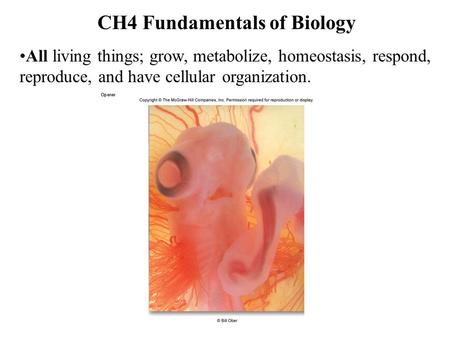 CH4 Fundamentals of Biology All living things; grow, metabolize, homeostasis, respond, reproduce, and have cellular organization.