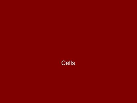 Cells. Bell-Ringer Day 3: What are the 3 parts of cell theory? –Cells are the basic unit of life. –All living organisms are made of cells. –All cells.