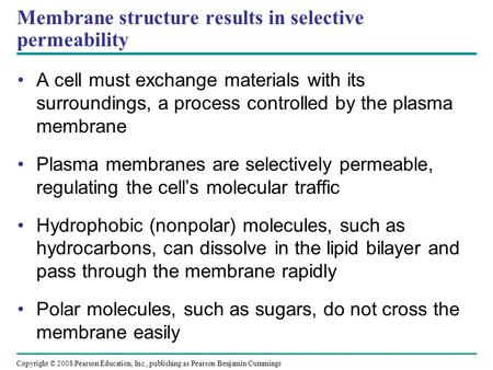 Membrane structure results in selective permeability A cell must exchange materials with its surroundings, a process controlled by the plasma membrane.
