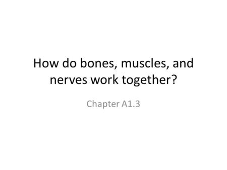 How do bones, muscles, and nerves work together?