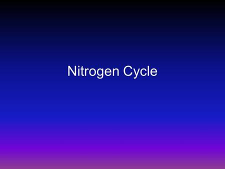 Nitrogen Cycle.