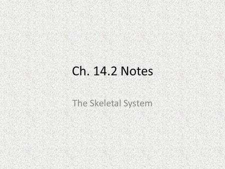Ch. 14.2 Notes The Skeletal System. Skeleton The skeleton is made up of all the bones in your body. A newborn has about 275 bones. An adult has only about.