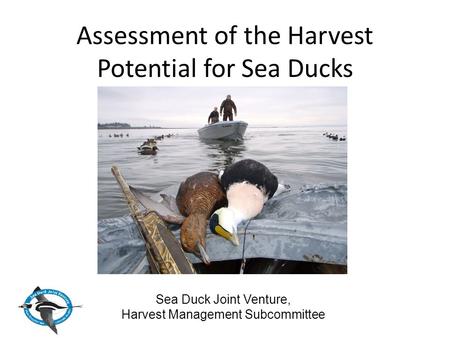 Assessment of the Harvest Potential for Sea Ducks Sea Duck Joint Venture, Harvest Management Subcommittee.