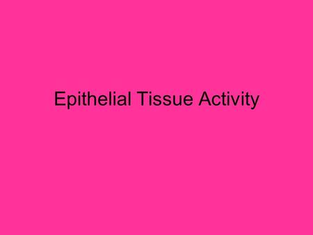 Epithelial Tissue Activity. Simple Squamous Description –Single layer of thin, flattened cells that fit tightly together. Function –Allows diffusion and.