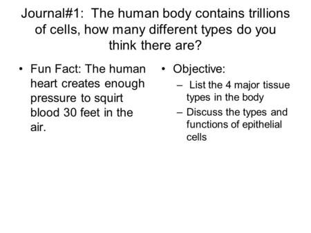 Journal#1: The human body contains trillions of cells, how many different types do you think there are? Fun Fact: The human heart creates enough pressure.
