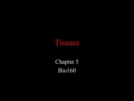 Tissues Chapter 5 Bio160. Epithelial Tissue Location –Covers body surface = epidermis –Lines hollow organs, cavities, ducts, tubes (like blood vessels)