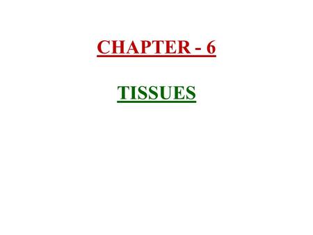 CHAPTER - 6 TISSUES.