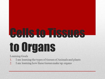 Cells to Tissues to Organs Learning Goals 1.I am learning the types of tissues of Animals and plants 2.I am learning how these tissues make up organs.