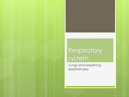 (lungs and breathing apparatuses). What is the respiratory system main function?  Its function is to exchange oxygen and carbon dioxide between an organism.