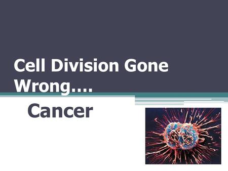 Cell Division Gone Wrong…. Cancer. Rates of Cell Division Inner lining of small intestine – a week or less Pancreas – a year or more Liver – Cell rarely.