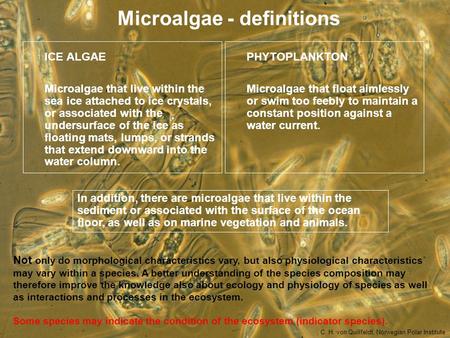 Microalgae - definitions ICE ALGAE Microalgae that live within the sea ice attached to ice crystals, or associated with the undersurface of the ice as.