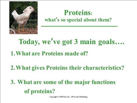 Proteins : what’s so special about them? Copyright © 2009 Ekis, Inc., DNA rules Publishing Today, we’ve got 3 main goals…. 1.What are Proteins made of?