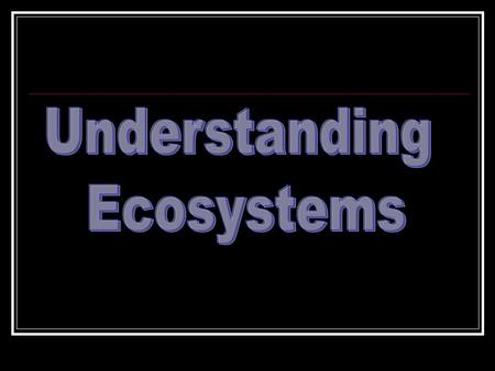 What Is An Ecosystem? An ecosystem refers to an area where a lot of living things exist. An ecosystem deals with the relationship that these living things.