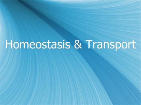 Homeostasis & Transport. Section 1: Diffusion & Osmosis.