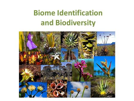Biome Identification and Biodiversity
