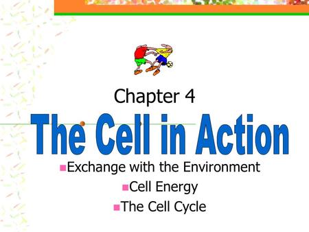 Chapter 4 Exchange with the Environment Cell Energy The Cell Cycle.
