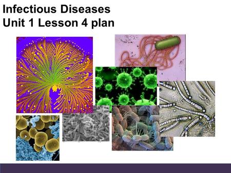 Infectious Diseases Unit 1 Lesson 4 plan. Do Now How big do you think a virus is in comparison to a bacteria and to a red blood cell?
