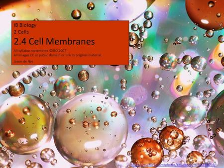 IB Biology 2 Cells 2.4 Cell Membranes Jason de Nys All syllabus statements ©IBO 2007 All images CC or public domain or link to original material.