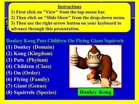 Copy down the following list. This is a memory device for the 8 levels of classification Donkey Kong Puts Children On Flying Giant Squirrels (1) Donkey.