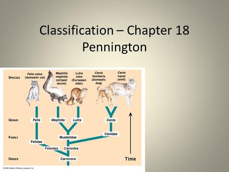 Classification – Chapter 18 Pennington Chapter 18 Pennington.