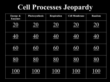 Cell Processes Jeopardy Energy & Enzymes PhotosynthesisRespirationCell MembraneRandom 20 40 60 80 100.
