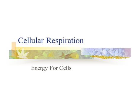 Cellular Respiration Energy For Cells. Cellular Respiration Energy is released by breaking the bonds of food molecules (such as glucose) to make ATP from.