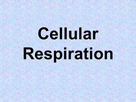 Cellular Respiration. Energy Flow photosynthesis –carried out by plants uses energy from sunlight converts into glucose & oxygen used in cellular respiration.