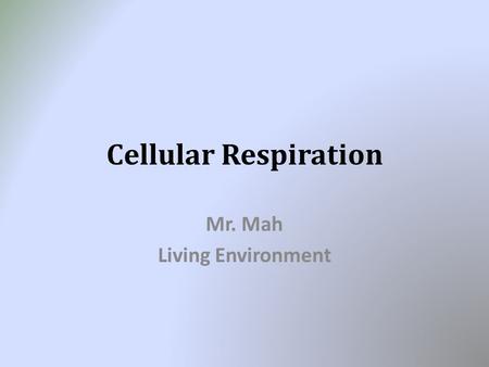 Cellular Respiration Mr. Mah Living Environment. Announcements Vocabulary Quiz on Friday (Tomorrow) Unit 3 Test will be Tuesday of Next Week – December.