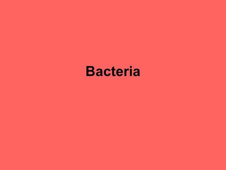 Bacteria. General Characteristics Prokaryotic: single-celled organisms that lack nuclei & about 1-5 microns in size Move about using cilia or flagella.