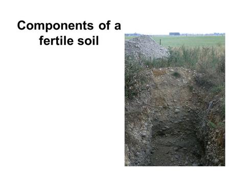 Components of a fertile soil