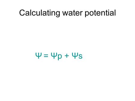 Calculating water potential Ψ = Ψp + Ψs. The combined effects of these two factors: 1.Solute concentration 2.Pressure are incorporated into a single measurement.