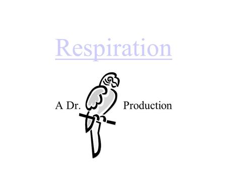 Respiration A Dr. Production. Energy Concepts Thermodynamics & Reaction Rates.