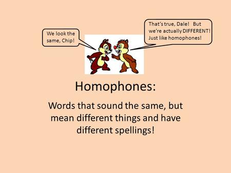 Homophones: Words that sound the same, but mean different things and have different spellings! We look the same, Chip! That’s true, Dale! But we’re actually.