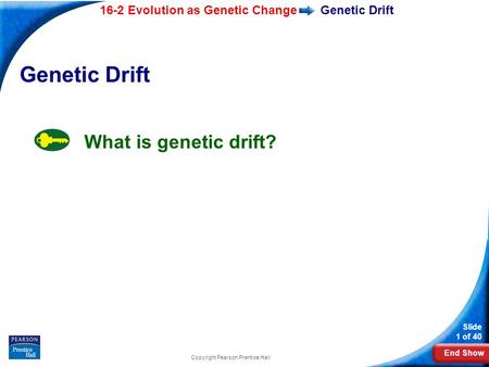 End Show 16-2 Evolution as Genetic Change Slide 1 of 40 Copyright Pearson Prentice Hall Genetic Drift What is genetic drift?