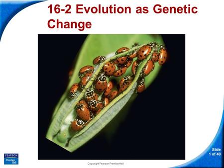 Slide 1 of 40 Copyright Pearson Prentice Hall 16-2 Evolution as Genetic Change.