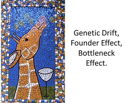 Genetic Drift, Founder Effect, Bottleneck Effect.