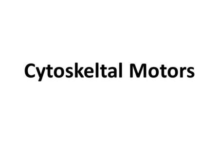 Cytoskeltal Motors. Network of long protein strands located in the cytosol not surrounded by membranes Consist of microtubules and microfilaments Microfilaments.