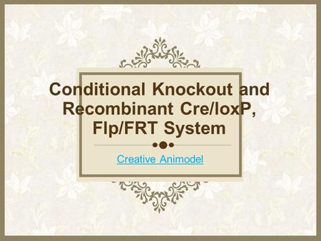 Conditional Knockout and Recombinant Cre/loxP, Flp/FRT System