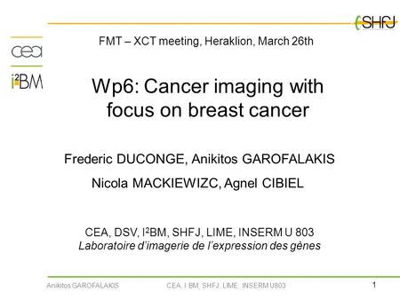 Wp6: Cancer imaging with focus on breast cancer