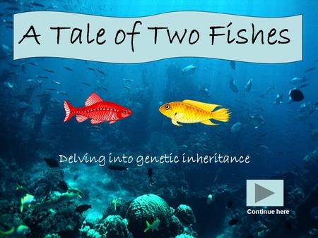 A Tale of Two Fishes Delving into genetic inheritance Continue here.