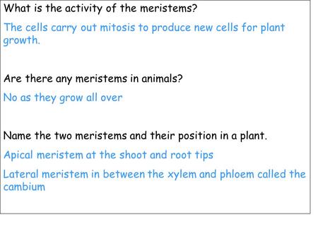 What is the activity of the meristems? The cells carry out mitosis to produce new cells for plant growth. Are there any meristems in animals? No as they.