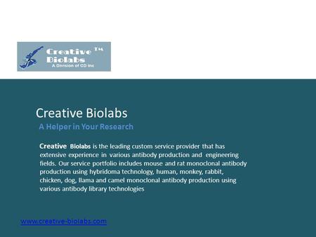 Creative Biolabs A Helper in Your Research Creative Biolabs is the leading custom service provider that has.