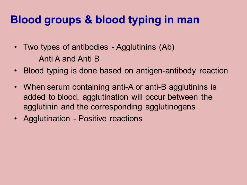 Agglutinins In Blood Groups Diet