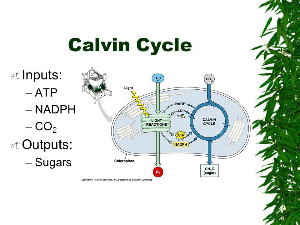 download carbon sequestration