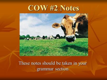 COW #2 Notes These notes should be taken in your grammar section.
